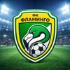 Логотип телеграм канала @flamingofootballclub — ⚽🦩MFC FLAMINGO KRASNOYARSK🦩⚽️