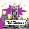 Логотип телеграм канала @flashkaliningrad — FlashKaliningrad