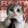 Logo of telegram channel flomty1 — Flomty|so2