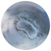 Логотип телеграм канала @floodscnf — ㅤфлуды confession