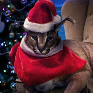 Логотип телеграм канала @floppa_memes — Большой Шлёпа