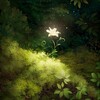 Логотип телеграм канала @flora_fantasy36 — Flora Fantasy 🌿