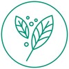 Логотип телеграм канала @flora_mania — ФлораМания🌿