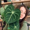 Логотип телеграм канала @floraa_art — 🍃 рисование и флора 🍃