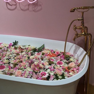 Логотип телеграм канала @florafor — 🌸F L O R A🌸