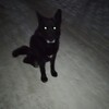 Логотип телеграм канала @florinswag — Florin/kadi