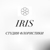 Логотип телеграм канала @floristic_baltay — 🌼 IRIS | Цветы Балтай