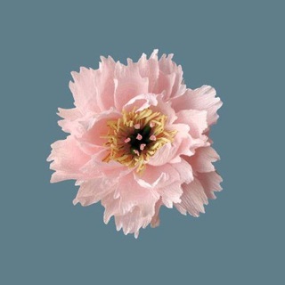 Логотип телеграм канала @floristikasy — 💮 Бумажные цветы 💮 Светланы Якубовой