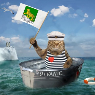 Логотип телеграм канала @flotnadivane — Диванный флот | Вести из Владивостока