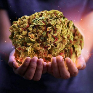 Логотип телеграм канала @flower_powerr — bakardi