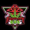 Logo of telegram channel flower_city_gas — Flowercitygas every other page is a scam