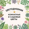 Логотип телеграм канала @flower_life0 — ЦветоДневник💐/комнатные и садовые цветы🪴