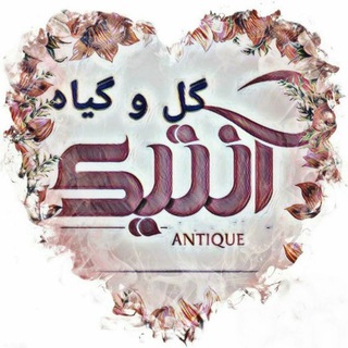 டெலிகிராம் சேனலின் சின்னம் flowerantik — 🌺🍀گل و گیاه آنتیک🍀🌺