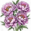 Логотип телеграм канала @flowercultivationschool — Цветы в доме