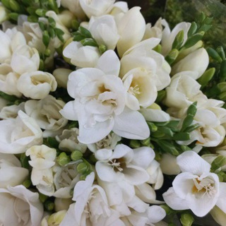 Logo saluran telegram flowers_bouquets_voikovskaya_ch — Войковская Цветы и букеты