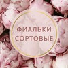 Telegram kanalining logotibi flowers_shop_is — Фиалки сортовые💐