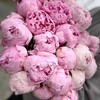 Логотип телеграм канала @flowers_trend — Flowers_trend.42 Цветы Кемерово