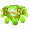 Логотип телеграм канала @flowersaleforever — Flowersale Forever