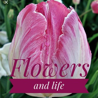 Логотип телеграм канала @flowersandlife — @Flowers and Life