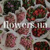 Логотип телеграм -каналу flowerss_uaa — flowers.ua🇺🇦