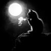 Логотип телеграм канала @flowwils — flowwils