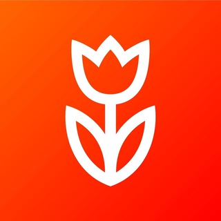 Логотип телеграм канала @flowwowcom — тест