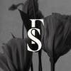 Логотип телеграм канала @flstories — Flower stories