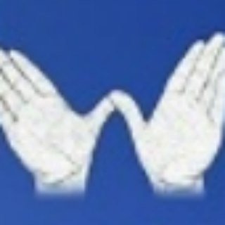 Telegram channel WINGS – Flügel für alle logo