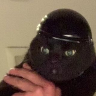 Логотип телеграм канала @fluffy_meower — Котямбы