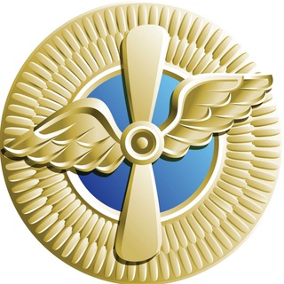 Логотип телеграм канала @flugschuler — Пилот ГА