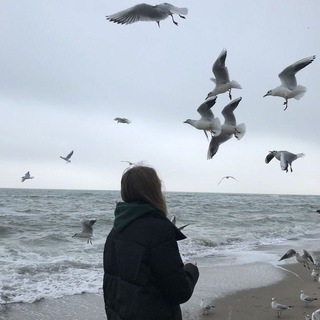 电报频道的标志 flying_without_wings0 — Flying without wings🕊️🫀
