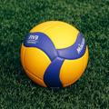 Logo saluran telegram flymanvolleyball — Волейбольные мячи | Егор Пупынин