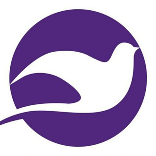 Telegram kanalining logotibi flymir — Fly Mir Consulting