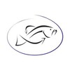 Логотип телеграм канала @flyntrv — НаРыбалку