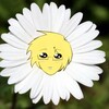 Логотип телеграм канала @fnconf — физически невозможно confession