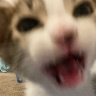 Логотип телеграм канала @fnfdm — llways