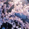 Логотип телеграм канала @foeowv — диагнозова