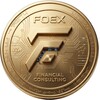Логотип телеграм канала @foex_dubai1 — FOEX | Международные платежи, бизнес