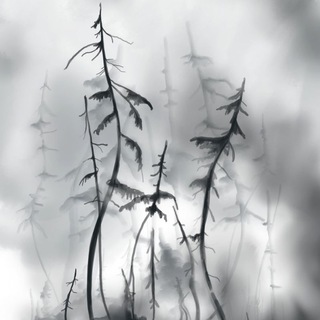 Логотип телеграм канала @foggylandscapes91 — TKarnash Art