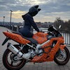 Логотип телеграм канала @foksi_foksi — Анька, шо там?