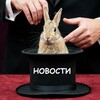 Логотип телеграм канала @fokusnews43 — ФОКУС НОВОСТЕЙ