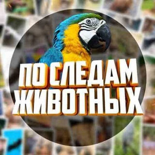 Логотип телеграм канала @following_the_animals — По Следам Животных
