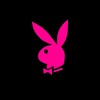 Logo of telegram channel followplayboy — PLAYBOY👯‍♀️