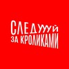 Логотип телеграм канала @followtherabbitsspb — Следуй за кроликами | Дистрибьютор