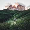Логотип телеграм канала @followthewild — into the wild | retreats & trips