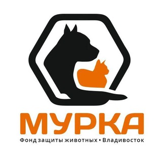 Логотип телеграм канала @fond_murka — Фонд Мурка