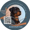 Логотип телеграм канала @fond_kozhaniy_nos — Фонд «Кожаный нос»