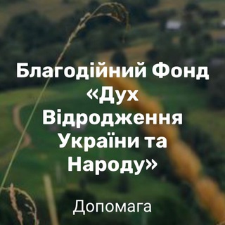 Логотип телеграм -каналу fonddvun — Благодійний фонд - ДВУН