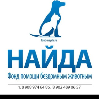 Логотип телеграм канала @fondnaydavl — Фонд Найда Владивосток
