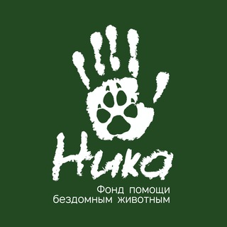 Логотип телеграм канала @fondnika — Фонд «НИКА»